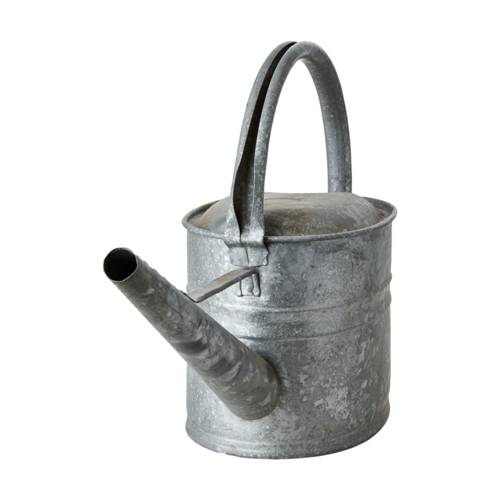 TREASURE Watering can, Grey