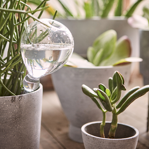 210522 1_1200x1200.jpg