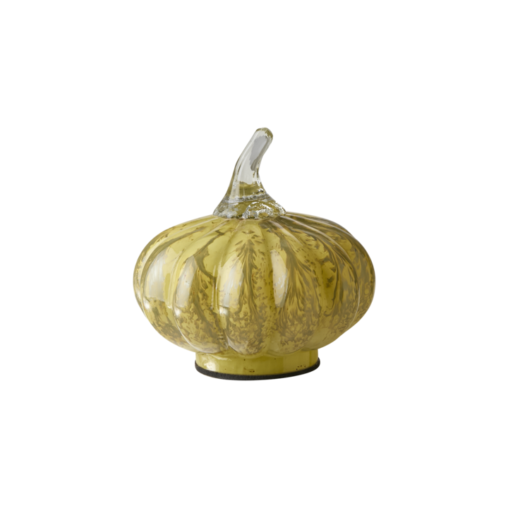 PUMPKIN Dekoration S, Gul