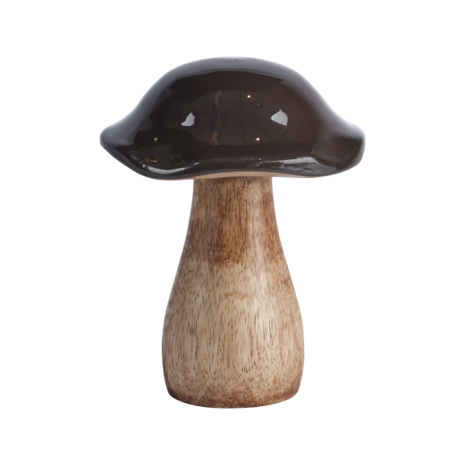 TIM Dekorationssvamp, Brun/natur