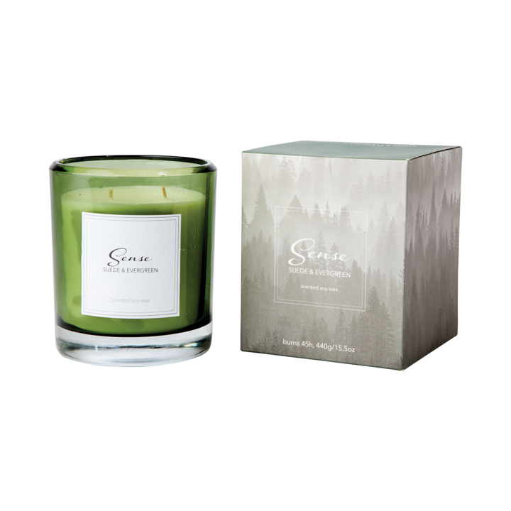 SENSE Scented candle Suede & evergreen, Green