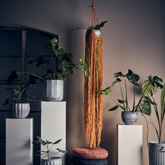 Plant hanger_1x1.jpg