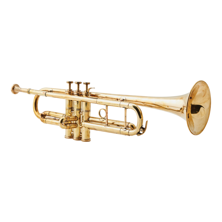 GLOBETROTTER Trompeta, Color latón